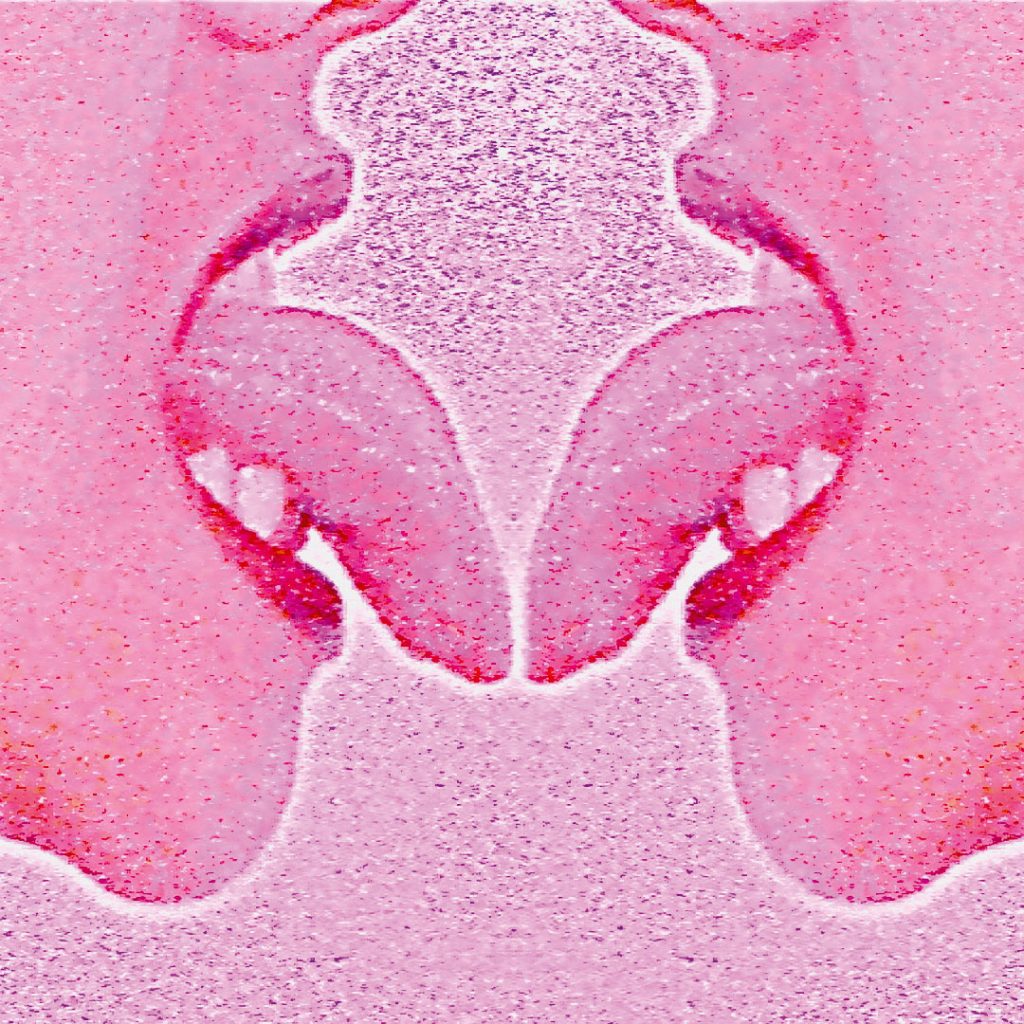 Hans de Cleen Me & Me