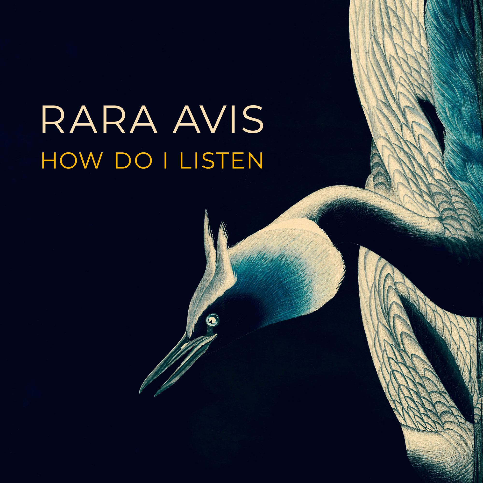 How do I Listen door Rara Avis